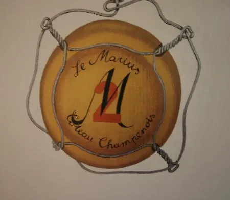 Le Marius 3* Les Riceys
